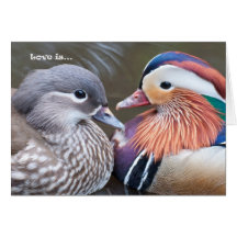 Love is... Mandarins Cards
