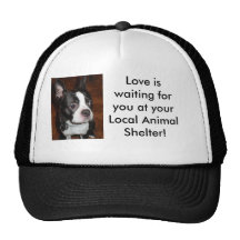 Love is waiting for you at you... trucker hats