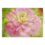 Love Letters Greeting Cards