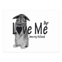 Love me, love my Holland postcard