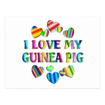 Love My Guinea Pig Post Cards