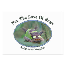 Love Of Bugs Caterpillar Business Card Template