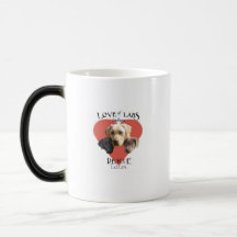 Love of Labs Morphing Mug