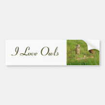 Love Owls Bumper Sticker