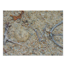 Love Photo Art