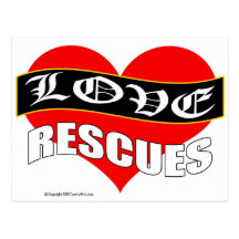 Love Rescues Animal Rescue Products Postcard