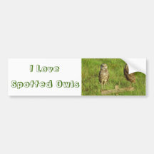Love Spotted Owls Bumper Sticker