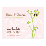 Lovebirds (Blush Pink) Save the Date Post Card