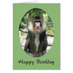 Lovely animal  baboon happy birthday card