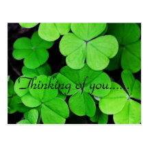 LOVELY CLOVER POSTCARDS