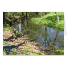 Lovely Day Greeting Cards