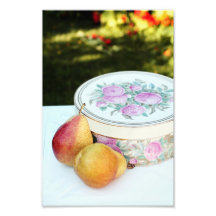Lovely garden still life with pears photo print