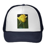 Lovely Hybrid Tea Rose 'Oregold' Trucker Hats