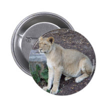 Lovely Lioness Button