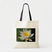Lovely Nymphaea albida, white, hardy water lily Tote Bags