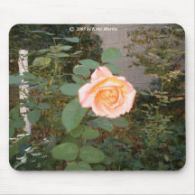 Lovely Rose Mouse Mats