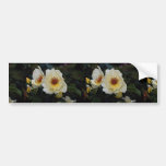 Lovely Shrub Rose 'Golden Wings' Bumper Stickers