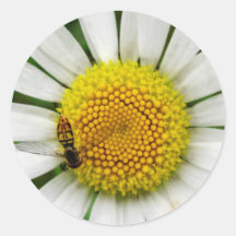 Loves Me, Loves Me Not... Round Sticker