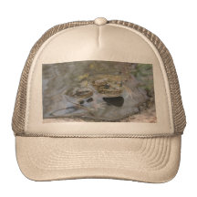 Lowland Leopard Frogs Hat