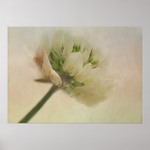 Luck clover Textured. Print
