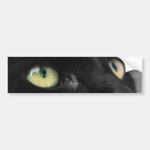 Lucky Black Cat Bumper Stickers
