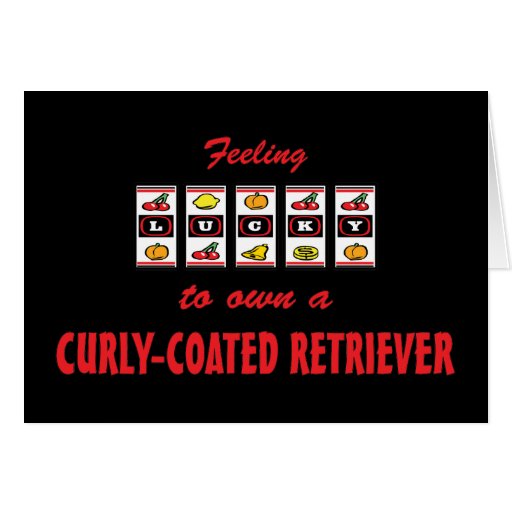 Lucky to Own a Curly-Coated Retriever Fun Design Greeting Card
