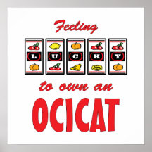 Lucky to Own an Ocicat Fun Cat Design Poster