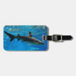 Luggage Tag - Customised