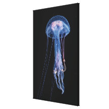 Luminescent Jellyfish Gallery Wrap Canvas
