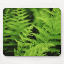Lush Green Ferns Mousemats