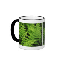 Lush Green Ferns Mug