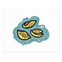 mac shells  n cheese post cards
