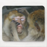 Macaca sylvanus mousemat