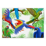 Macaw Jungle Greeting Card