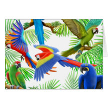 Macaw Jungle Greeting Card