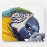Macaw Mousepads