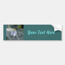 Macro Leaf And Water Drop Bumper Stickers