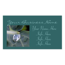 Macro Leaf And Water Drop Business Card Templates