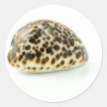 Macro Photo Of A Seashell 4 Round Stickers