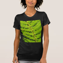 Macro Photo Of Fern 4 Tshirts