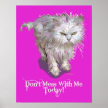 mad cat poster