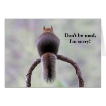 Mad Squirrel cards