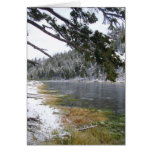 Madison River Below Seven Mile Bridge Greeting Cards