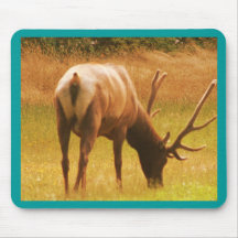 Magestic Bull Elk Mouse Mats