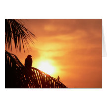 Magestic sunrise greeting cards