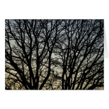 Magestic Tree Closeup Greeting Cards