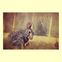 Magical bunny summer posters