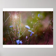 Magical Garden Wildflowers Posters