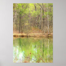 Magical Spring Poster