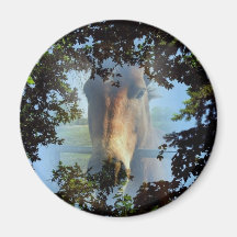 Magnet cheval